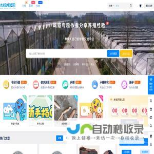 今日点入排行榜-亿游网址导航